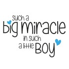 SABM_BOY_web
