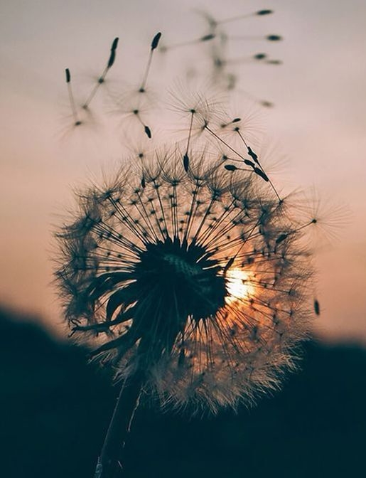 1a89da3674781df2b61b8a07f042fca9