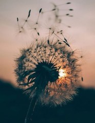 1a89da3674781df2b61b8a07f042fca9